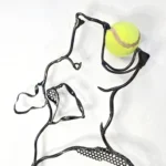 SCULTURA Cane che salta con palla di D. Milanesi - immagine 2