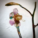 SCULTURA Ramo di Cristalli di D. Milanesi - immagine 6