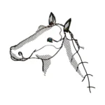 SCULTURA Testa di Cavallo di D. Milanesi