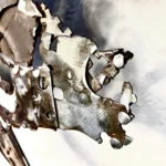 SCULTURA Airone in volo #2 di D. Milanesi - immagine 6