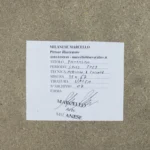 QUADRO ACRILICO-COLLAGE-SOUL 2025- op.7 FANTASMA di M.Milanese - immagine 4