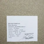 QUADRO ACRILICO-COLLAGE-SOUL 2025- op.9 MICHELA di M.Milanese - immagine 4