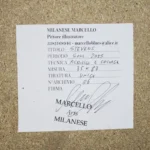 QUADRO ACRILICO-COLLAGE-SOUL 2025- op.6 STEVENS di M.Milanese - immagine 4